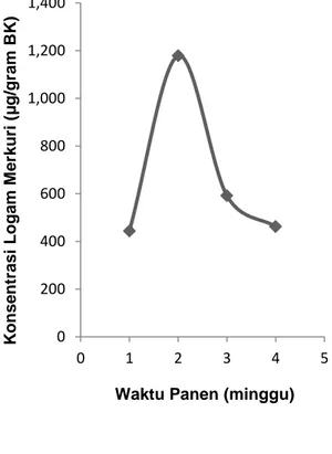Gambar 1.  Grafik  hubungan  waktu  panen  terhadap  konsentrasi  rata-rata  merkuri  (Hg)  pada  akar  tanaman kangkung darat 