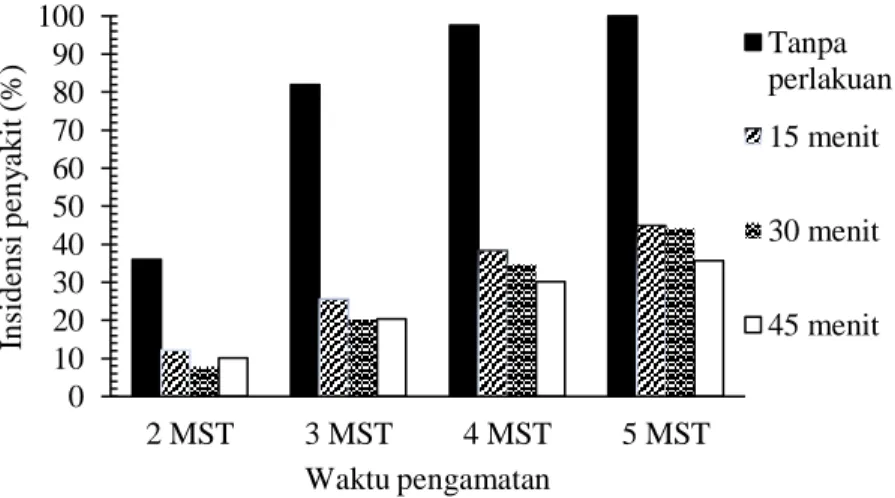 Gambar 2. Pengaruh perlakuan lama pemanasan pada suhu 45  0 C terhadap persentase insidensi penyakit  Tabel  1