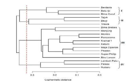 Gambar 2.   Dendrogram  analisis kekerabatan berdasarkan  marka  molekuler  (DNA)  ISSR  pada 19  genotipe bawang merah Indonesia
