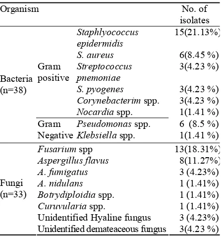 Table 1. Bacterial and fungal isolates from diabetic corneal ulcer patients 