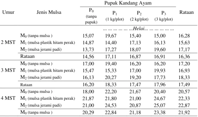 Tabel 2.  Jumlah  daun  per  rumpun  bawang  merah  umur  2-6  MST  pada  perlakuan  jenis  mulsa  dan  pemberian pupuk kandang ayam 