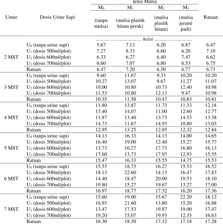 Tabel  2.  Rataan  jumlah  daun  per  rumpun  bawang  merah  umur  2  -  7  MST    pada  perlakuan  jenis  mulsa dan pemberian urine sapi 