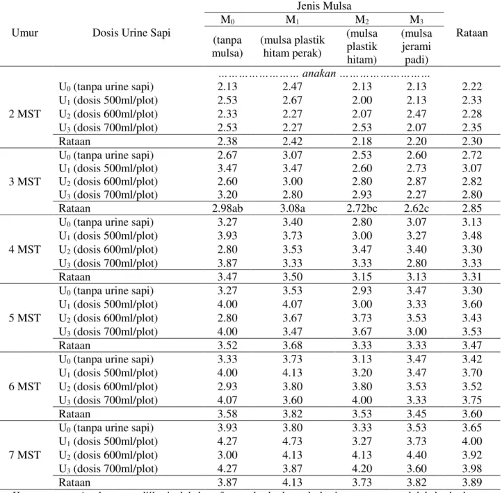 Tabel 3.  Rataan jumlah anakan per rumpun bawang merah umur  2 - 7 MST pada perlakuan jenis  mulsa dan pemberian urine sapi 
