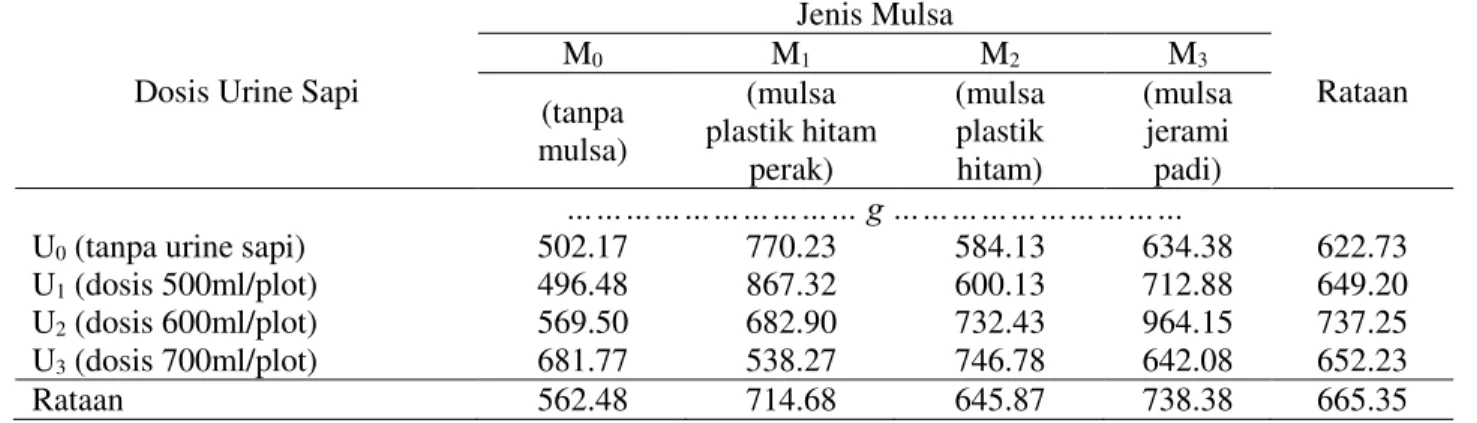 Tabel 7.  Rataan  bobot  basah  umbi  per  plot  bawang  merah  pada  perlakuan  jenis  mulsa  dan  pemberian urine sapi 