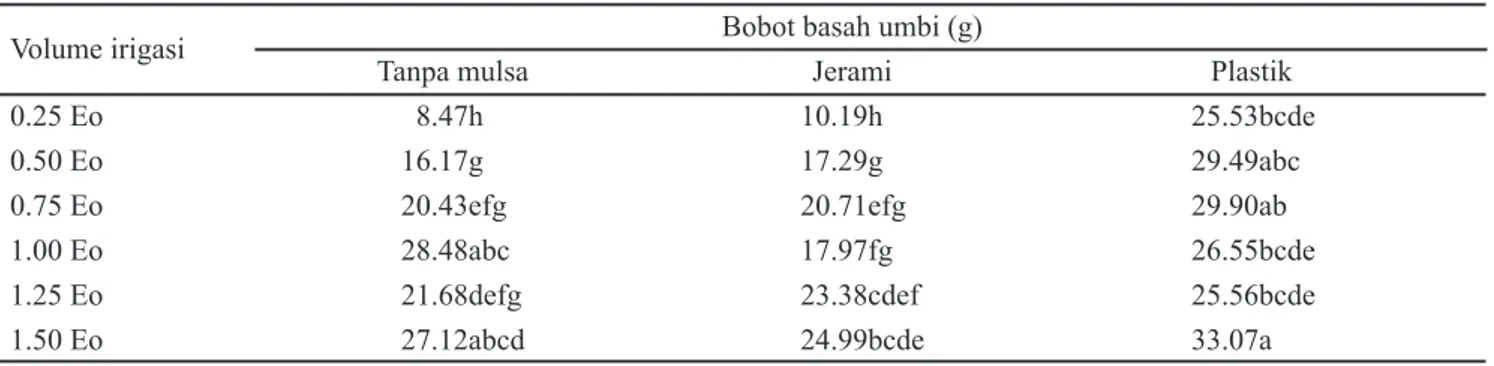 Tabel 4. Interaksi volume irigasi (Eo) dan jenis mulsa terhadap bobot basah umbi (g) 