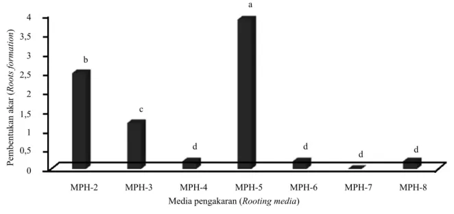 Grafik 2.    Pengaruh media pengakaran haploid terhadap pembentukan akar pada tunas haploid