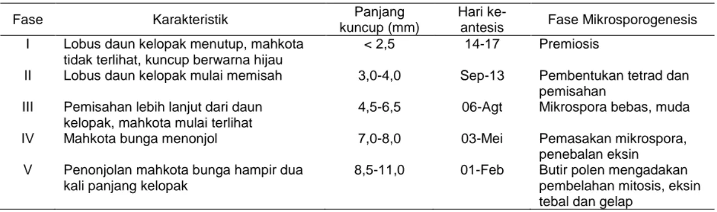 Tabel 1.   Fase perkembangan bunga cabai merah besar  berhubungan dengan perkembangan mikrospora, ukuran  kuncup, hari ke antesis pada suhu 25° C 