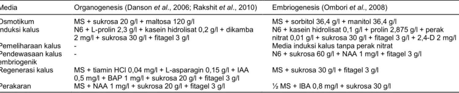 Tabel 1.  Media induksi dan regenerasi kalus jagung. 
