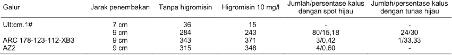 Tabel 3.  Regenerasi kalus organogenik jagung yang ditransformasi dengan gen CsNtr1-L, 72 hari setelah tanam