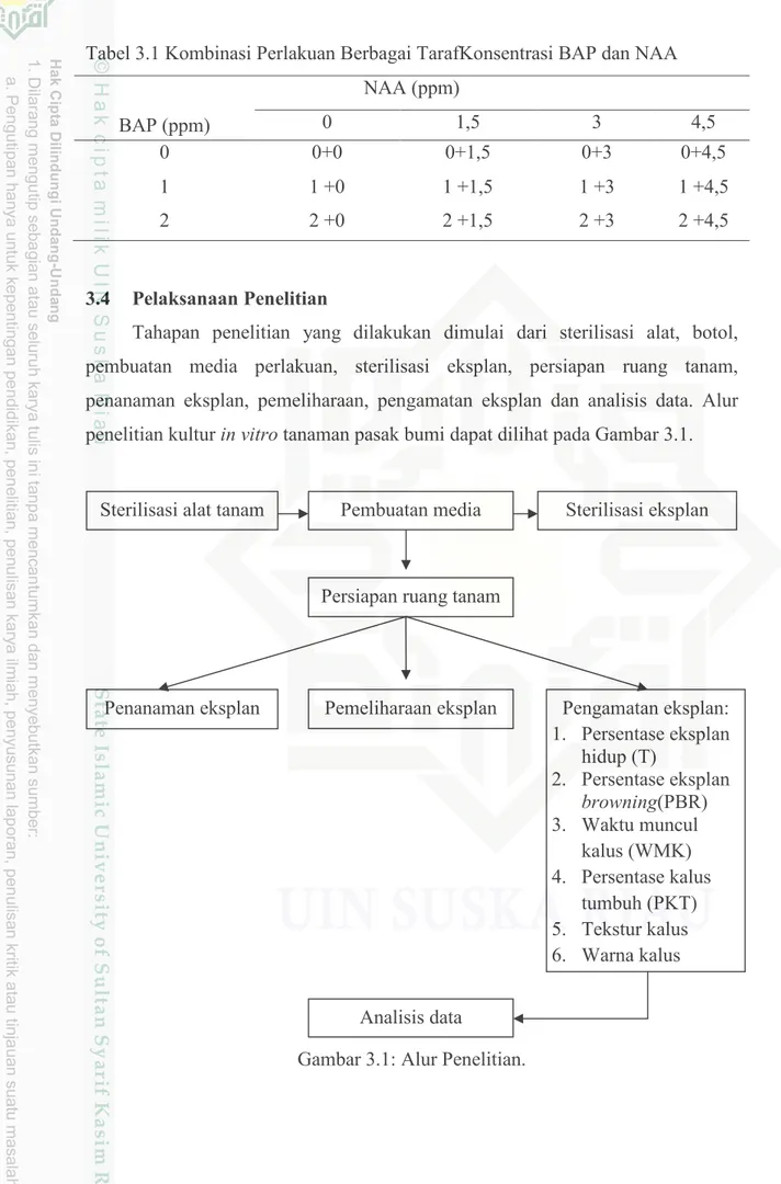 Gambar 3.1: Alur Penelitian. 