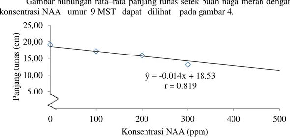 Gambar  4  memperlihatkan  terdapat  hubuingan  linear  rata–rata  panjang tunas setek buah naga merah  dengan  konsentrasi  NAA        9  MST  dimana  penambahan  konsentrasi  hingga  500  ppm  dapat  menurunkan  rata –rata panjang tunas