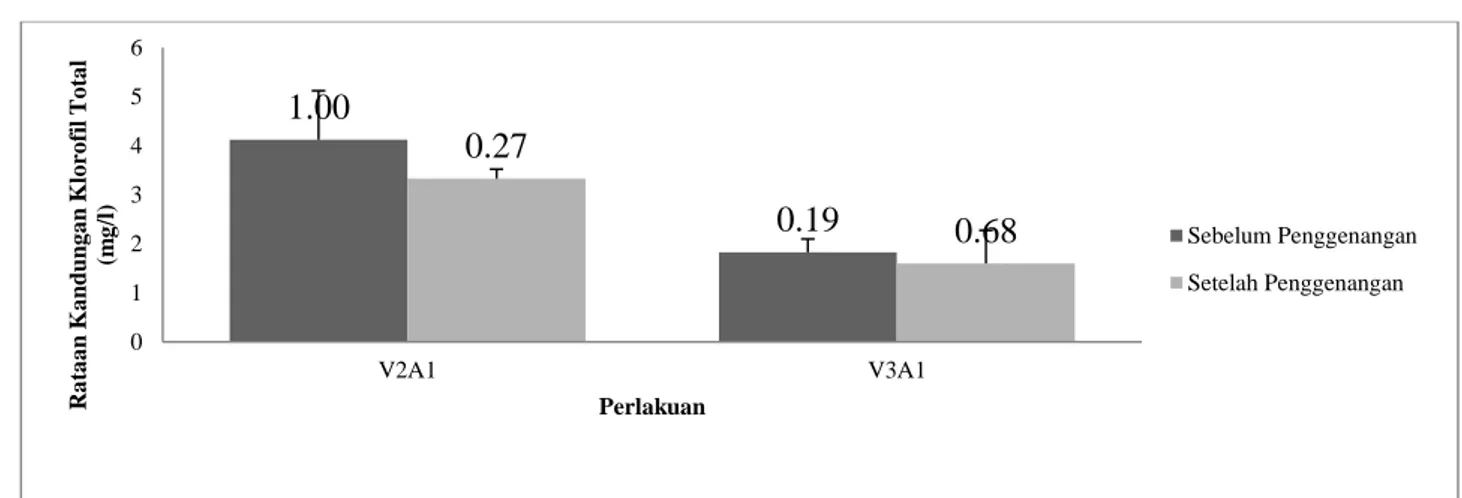 Gambar 4.Klorofil   total (mg/l)    dari  genotipe     kedelai    Gepak   kuning  (V 2 )   dan    Wilis (V 3 ) 