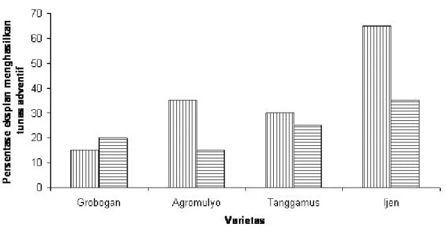Gambar 3. Pengaruh pra-kultur terhadap setiap perlakuan varietas.Angka yang diikuti huruf yang sama padasetiap perlakuan pra-kultur tidak berbeda nyata berdasarkan uji BNT 5% (16,81)