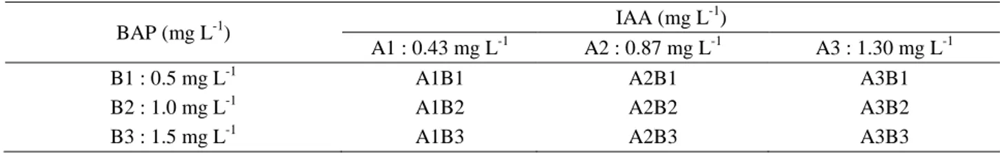 Tabel  3.  Perlakuan  percobaan  proliferasi  tunas  Adventif  Tagetes  (Tagetes  erecta  L)  kultivar  African  Crackerjack dengan penambahan BAP dan GA3 