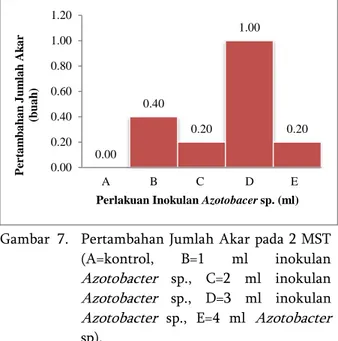 Gambar 5.  Pertambahan  Jumlah  Daun  pada  2  MST  (A=kontrol,  B=1  ml  inokulan  Azotobacter   sp.,  C=2  ml  inokulan  Azotobacter   sp.,  D=3  ml  inokulan  Azotobacter   sp.,  E=4  ml  Azotobacter sp.)