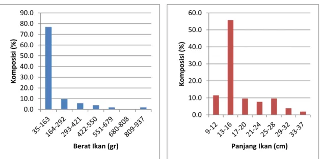 Gambar 6. Komposisi Ukuran Ikan Jenis Formio niger (a) Ukuran Berat Ikan (gr); (b)  Ukuran Panjang Ikan (cm) yang Tertangkap di Perairan  