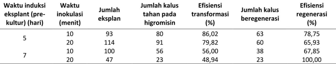 Tabel 1. Jumlah  kalus  tahan  pada  media  seleksi  higromisin  dan  kalus  beregenerasi  setelah  transformasi  dengan 