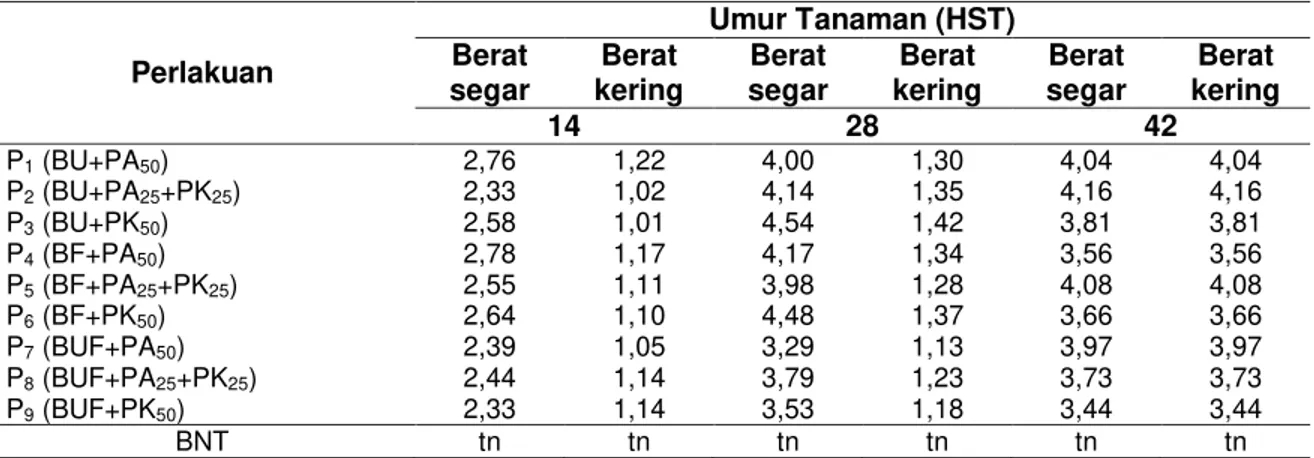 Tabel 5 Rerata Bobot Segar Daun (g) dan Bobot Kering Daun (g) pada Umur 14 hst Hingga 42  hst   Perlakuan  Umur Tanaman (HST) Berat  segar  Berat  kering  Berat segar  Berat  kering  Berat segar  Berat  kering  14  28  42  P 1  (BU+PA 50 )  2,76  1,22  4,0