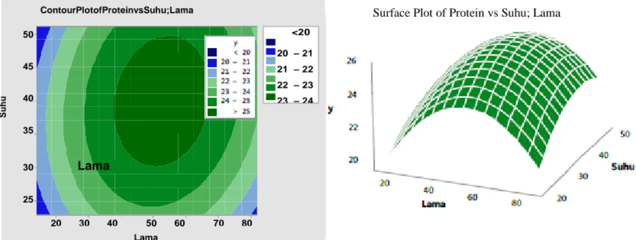 Gambar 5. (a). Contour Plot kadar protein dan (b). Surface Plot dengan suhu dan lama fermentasi 
