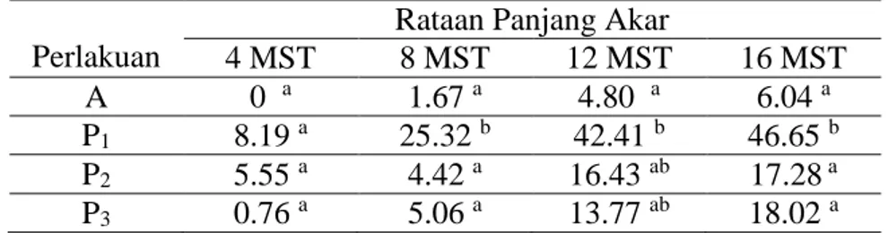 Tabel  3.  Rata-ratahasil  uji  DMRT  (Duncan  Multiple  Range  Test)  panjang  akar  tanaman kentang Solanum tuberosum L varietas kalosi sejak pengamatan  4 – 16 Minggu Setelah Tanam (MST)
