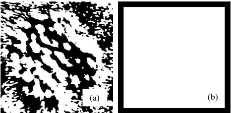 Figure 8. Visualisation of the segmentation before (a) and after (b) the refinement through a neighboorhood analysis method 