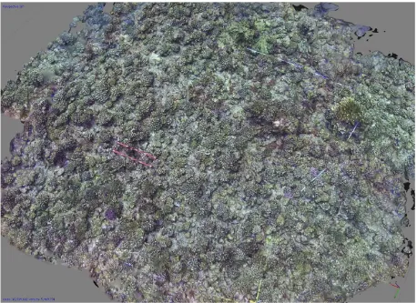 Figure 8. 3D point clouds of a 5m x 5m coral reef patch generated using images from a GoPro underwater system