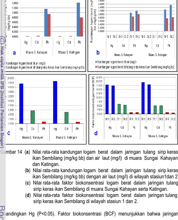 Gambar 14  (a)  Nilai rata-rata kandungan logam  berat  dalam  jaringan  tulang  sirip keras   ikan Sembilang (mg/kg bb) dan air  laut (mg/l)  di muara  Sungai  Kahayan   dan Katingan