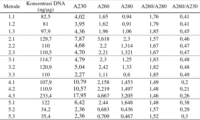 Tabel 4 Nilai konsentrasi DNA, rasio A260/A280 dan rasio A260/A230 isolat DNA yang berasal dari Pantai Cipatujah, Tasikmalaya-Jawa Barat 