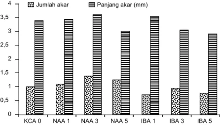 Gambar 5.   Jumlah dan panjang akar planlet C. hartinahianum pada media KCA dengan penambahan  IBA dan NAA pada 5 BST