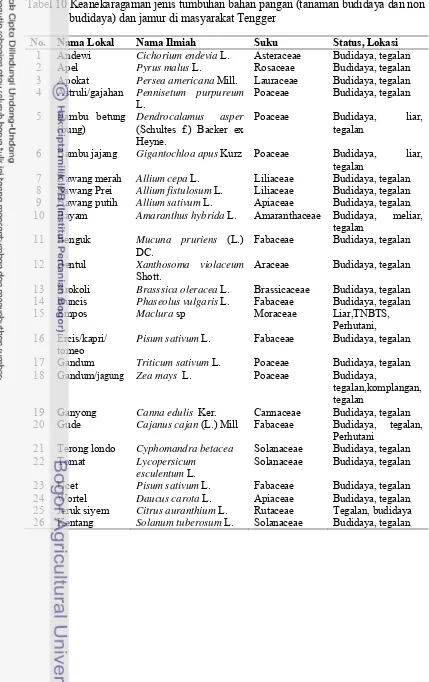 Tabel 10 Keanekaragaman jenis tumbuhan bahan pangan (tanaman budidaya dan non  