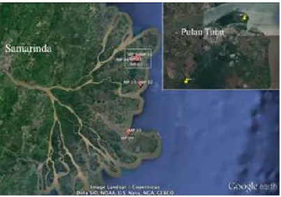 Gambar 3. Lokasi PSP (merah) dan pengambilan data lapang (kuning) di lokasi studi, Delta Mahakam  Peta diperoleh dari Google Earth dengan modifikasi informasi lokasi PSP dari website FCPF.