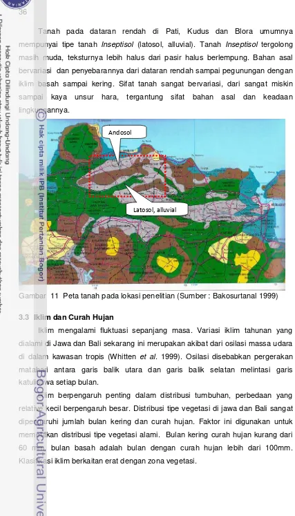 Gambar  11  Peta tanah pada lokasi penelitian (Sumber : Bakosurtanal 1999) 
