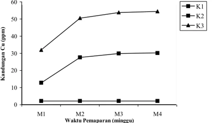 Tabel 1. Kandungan Logam Cu pada Gracilaria sp pada Berbagai Perbedaan Perlakuan Konsentrasi (K) dan Waktu Pemaparan (M).
