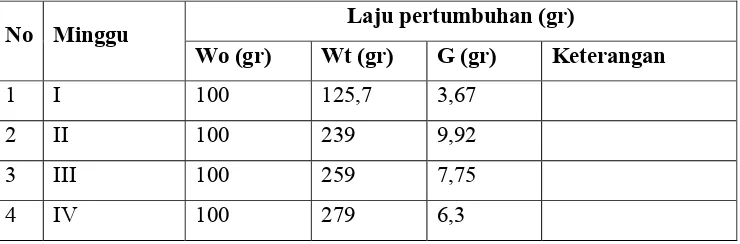 Tabel 2. Laju pertumbuahan rumput laut E. cottoni menggunakan media air kelapa. 