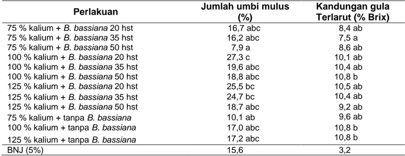 Tabel 5. Rerata Jumlah Umbi Mulus dan Kandungan Gula Terlarut Pada Umbi 