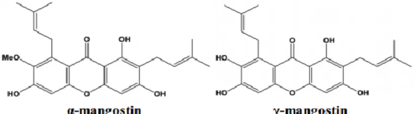 Gambar 2. Struktur Kimia α-mangostin dan γ-mangostin 37