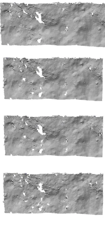 Figure 12 shows the degradation of the DTM varying the ibr from a qualitative point of view: the shaded relief image computed Also looking at the disparity maps in Figure 13 and 14 the holes in correspondence of the mismatches (points of low correlation th