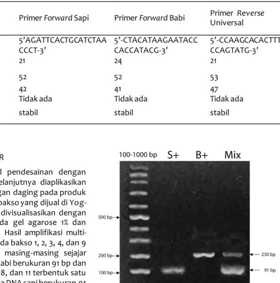 Gambar 2 Profil elektroforesis hasil amplifikasi DNA  sapi, babi, dan DNA campuran sapi dan babi  dengan marker DNA 100-1000 bp
