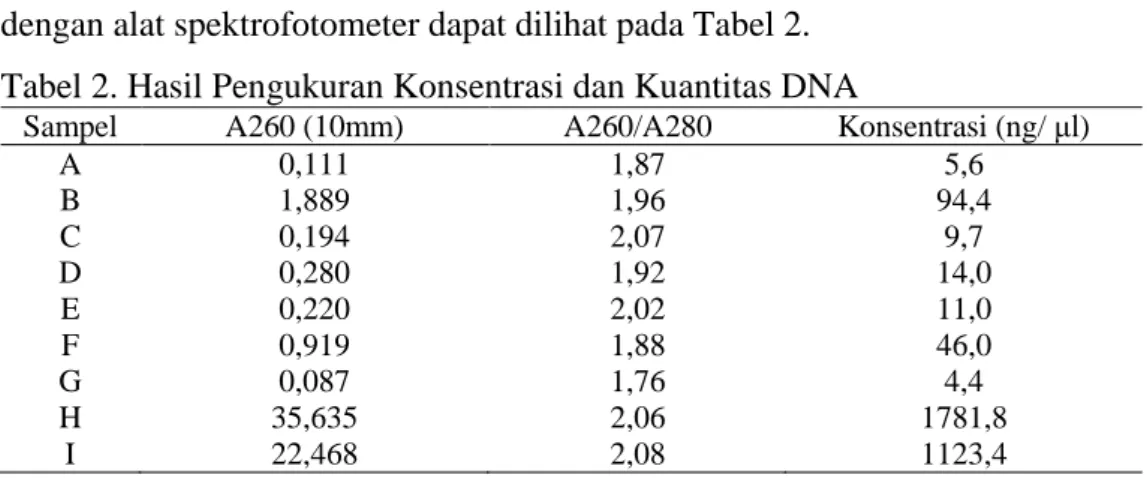 Tabel 2. Hasil Pengukuran Konsentrasi dan Kuantitas DNA 