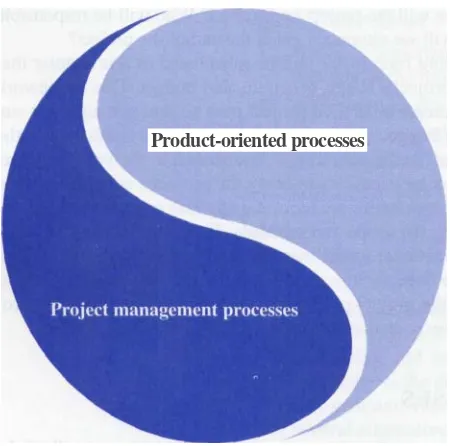 Figure 3.1 Project Processes 