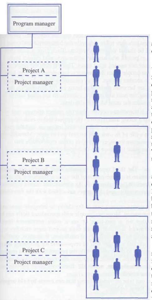 Figure 4.3  The Project Organization