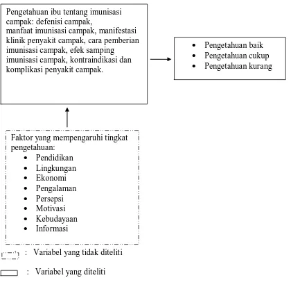  Kerangka konsetual ini bertujuan untuk mengetahui gambaran pengetahuan ibu tentang imunisasi campak pada bayi di Puskesmas Padang Bulan 