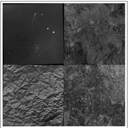 Figure 2: Sample quicklook display of panchromatic SPOT im-ages (upper left: sea, upper right: settlement, lower left: forest,lower right: agriculture) (PAN)