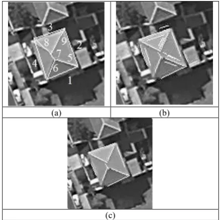 Figure 2. Test 1. (a) Projected ALS-derived roof polyhedron; 