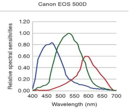 Figure 1. Spectral sensitivity of Canon EOS 500D (Kriss 2015)   