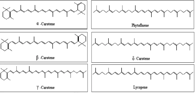 Gambar  1.1 Struktur beberapa senyawa karotenoid 