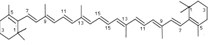 Gambar 2.1  Rumus struktur β-karoten 