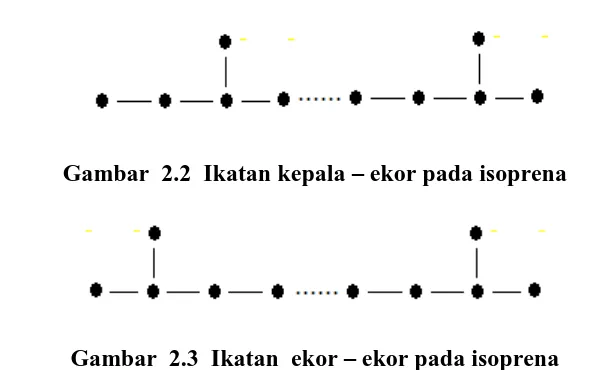 Gambar  2.3  Ikatan  ekor – ekor pada isoprena 