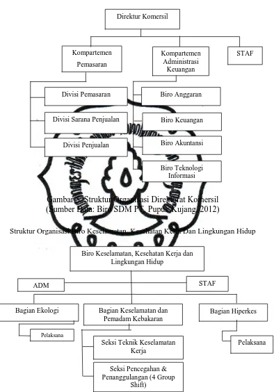 Gambar 5. Struktur Organisasi Direktorat Komersil (Sumber Data: Biro SDM PT. Pupuk Kujang, 2012) 