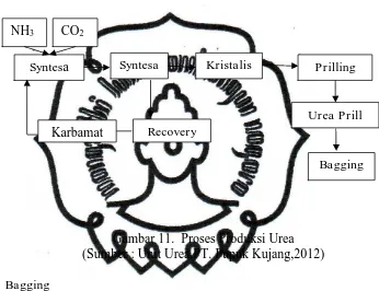 Gambar 11.  Proses Produksi Urea (Sumber : Unit Urea PT. Pupuk Kujang,2012) 